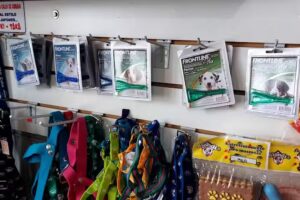 Veterinaria LA MISION