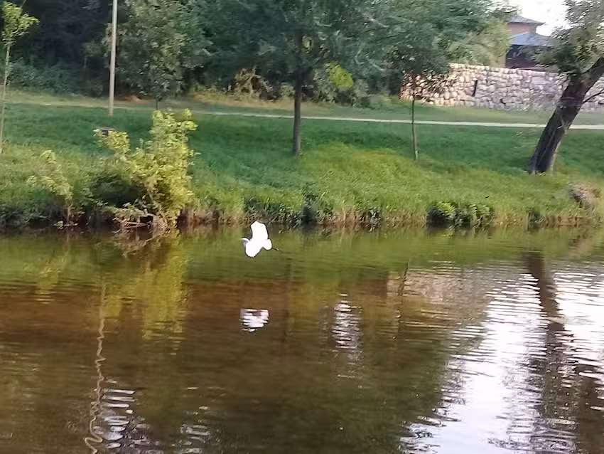 Veterinaria &ldquo;La Negra&rdquo;