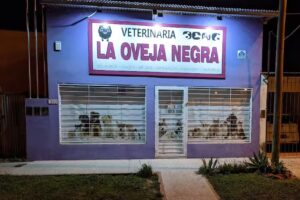 Veterinaria La oveja negra