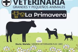 Veterinaria La Primavera