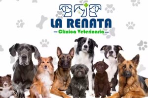 Veterinaria La Renata