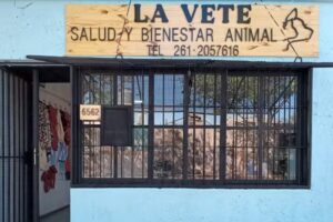 Veterinaria &ldquo;La Vete&rdquo; Salud y Bienestar Animal