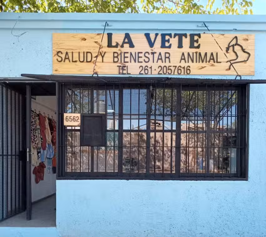 Veterinaria &ldquo;La Vete&rdquo; Salud y Bienestar Animal