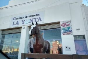 Veterinaria &ldquo;La Yunta&rdquo;