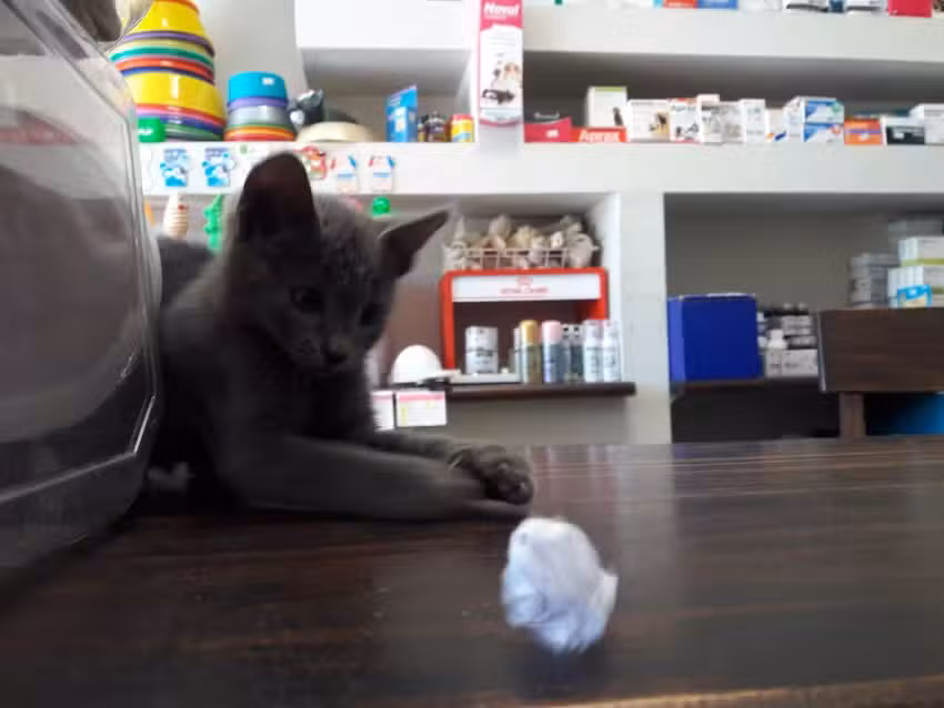 Veterinaria &ldquo;La Yunta&rdquo;