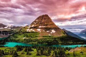 Veterinaria Larrahona