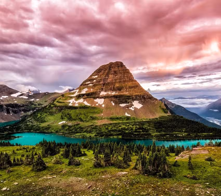 Veterinaria Larrahona