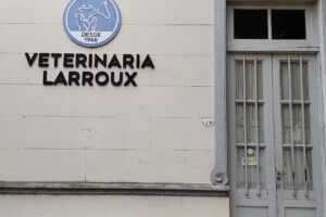 Veterinaria Larroux