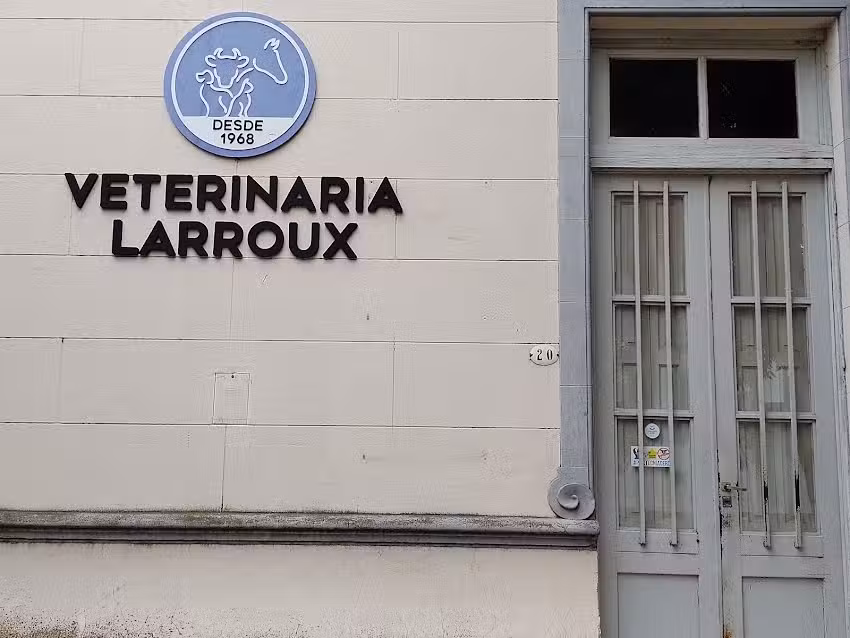 Veterinaria Larroux