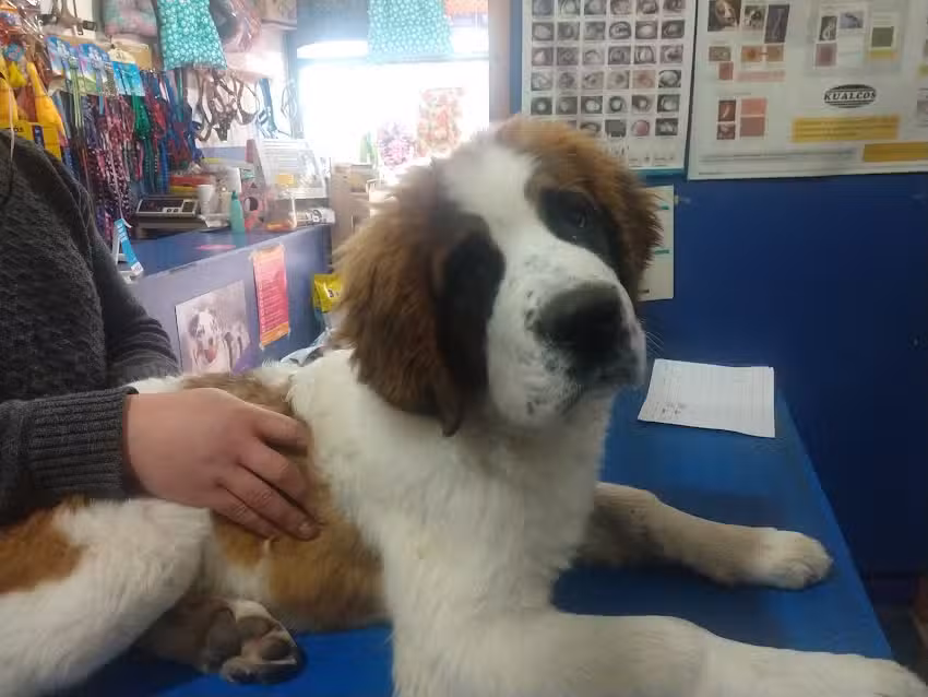 VETERINARIA Las Praderas