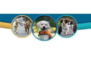 Veterinaria Lavalle del Dr. Cristofano