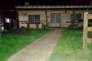 Veterinaria Lobo Pé