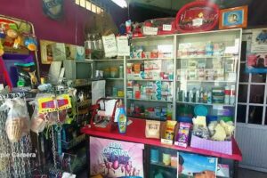 Veterinaria Los Andes