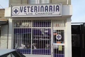 Veterinaria Los Charitos