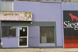 Veterinaria Los Estribos