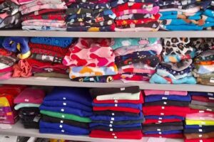 Veterinaria Los siameses