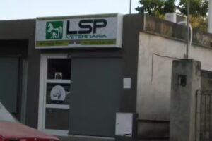 Veterinaria LSP