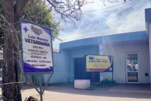Veterinaria Lula Morena