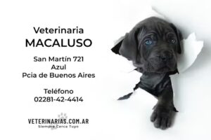 Veterinaria Macaluso