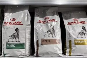 Veterinaria Manantiales