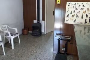 Veterinaria &ndash; Mario Pinto