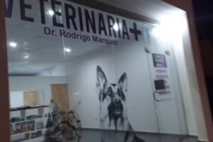 Veterinaria marquez