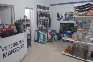 Veterinaria Marzocca