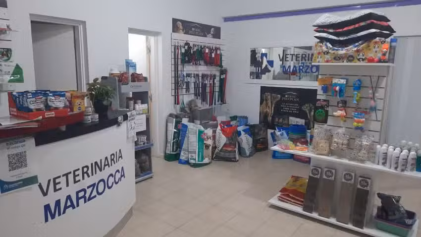 Veterinaria Marzocca