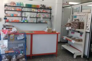 Veterinaria MASCOTAS