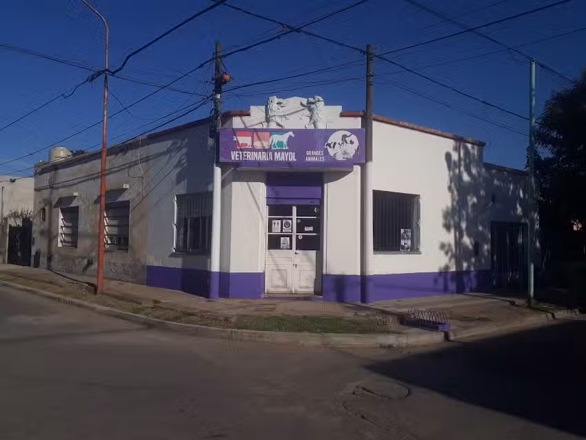 VETERINARIA MAYOL