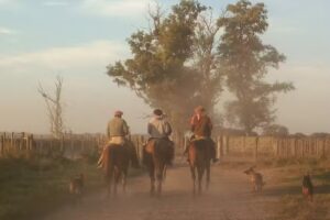 Veterinaria Mc Dermott