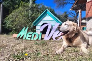 Veterinaria MediVet-Medicina Integral Veterinaria-