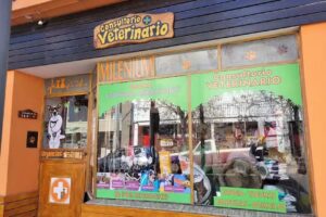Veterinaria Millenium