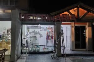 Veterinaria Mis cachorros