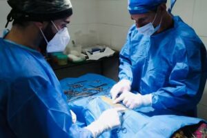 Veterinaria Mo&iacute;ne