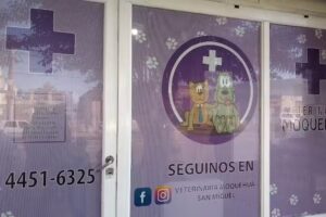 Veterinaria Moquehua