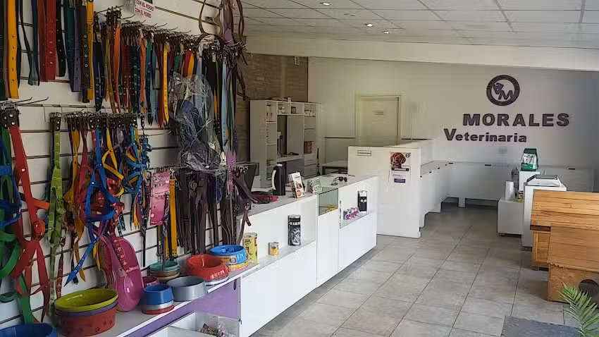 Veterinaria Morales Martin