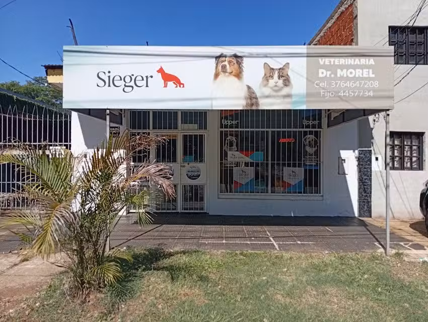 Veterinaria Morel