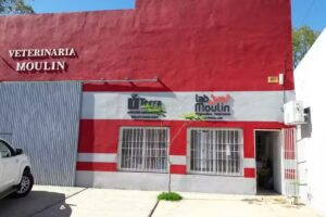 Veterinaria Moulin