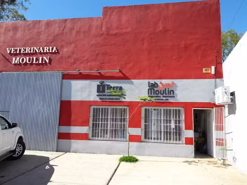 Veterinaria Moulin