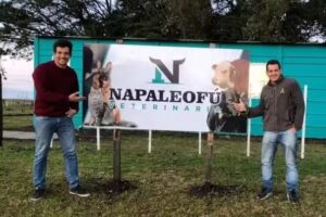 VETERINARIA NAPALEOF&Uacute;