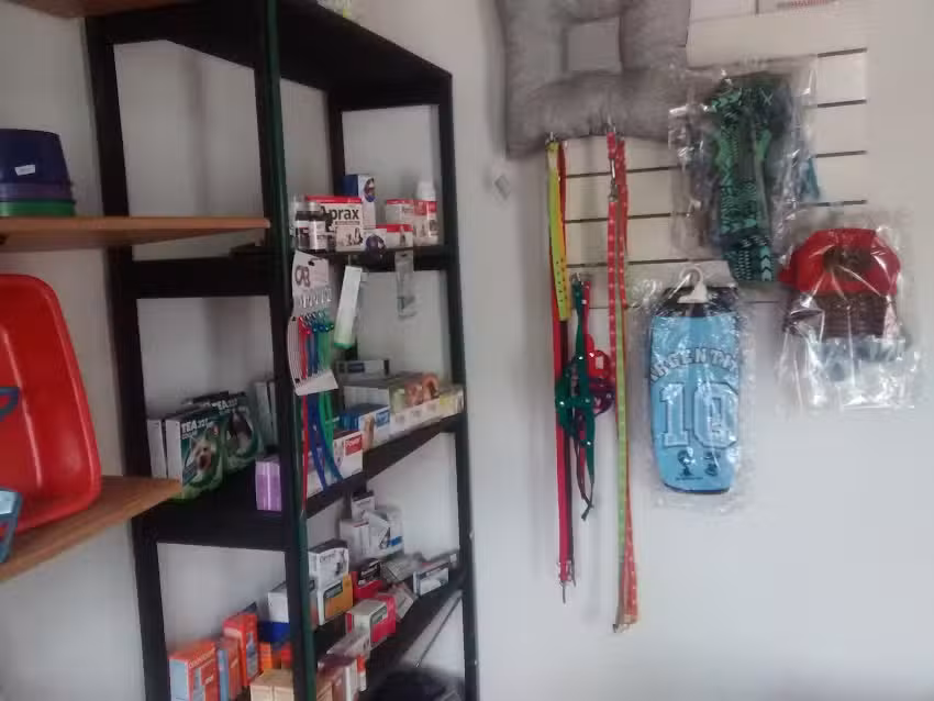 Veterinaria Noah