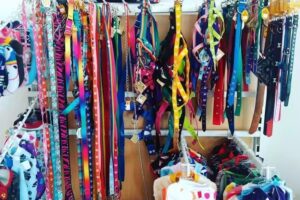 Veterinaria Oh My Dog