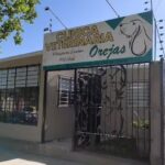 Veterinaria Orejas