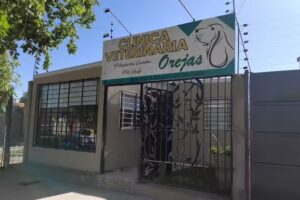 Veterinaria Orejas