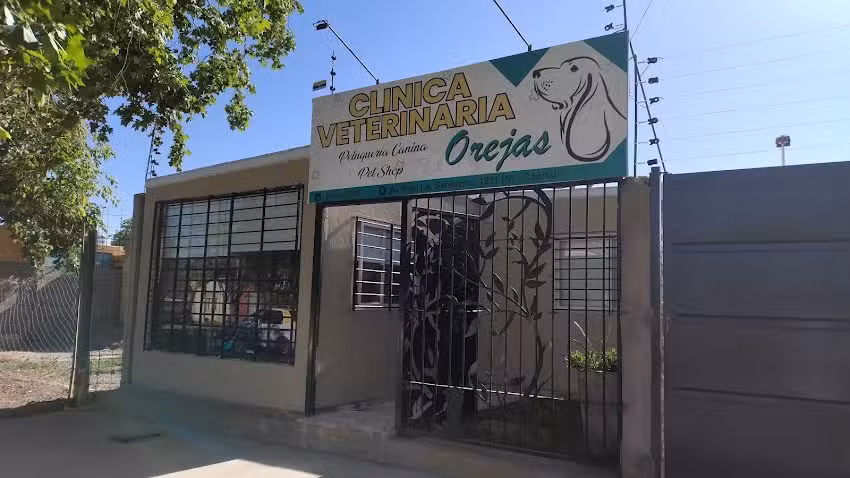 Veterinaria Orejas