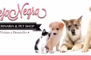 Veterinaria Oveja Negra