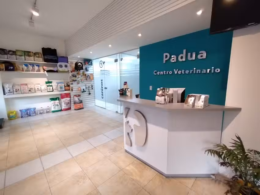 Veterinaria Padua (Plaza Espa&ntilde;a)