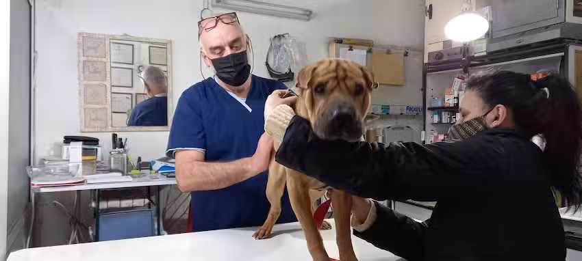 Veterinaria Pampero Dom&eacute;sticos, ex&oacute;ticos y silvestres.