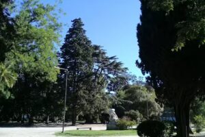 Veterinaria Parque Saavedra